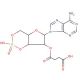 2′-O-Monosuccinyladenosine 3′:5′-cyclic monophosphate (CAS 36940-87-1) - chemical structure image