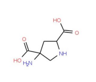 (2R,4R)-4-aminopyrrolidine-2,4-dicarboxylic acid (CAS 169209-63-6) - chemical structure image