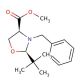 (2R,4S)-N-Benzyl-2-t-butyloxazolidine-4-carboxylic Acid, Methyl Ester (CAS 145451-89-4) - chemical structure image