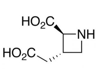 (2S,3S)-trans-3-(Carboxymethyl)-azetidine-2-acetic Acid (CAS 185387-36-4) - chemical structure image
