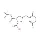 (2S,4S)-1-(tert-Butoxycarbonyl)-4-(2,5-dichloro-phenoxy)-2-pyrrolidinecarboxylic acid - chemical structure image