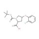 (2S,4S)-1-(tert-Butoxycarbonyl)-4-(2-chloro-phenoxy)-2-pyrrolidinecarboxylic acid - chemical structure image