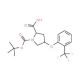 (2S,4S)-1-(tert-Butoxycarbonyl)-4-[2-(trifluoro-methyl)phenoxy]-2-pyrrolidinecarboxylic acid (CAS 1217786-49-6) - chemical st
