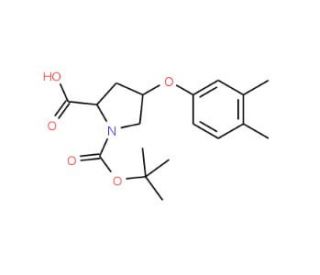 (2S,4S)-1-(tert-Butoxycarbonyl)-4-(3,4-dimethyl-phenoxy)-2-pyrrolidinecarboxylic acid - chemical structure image