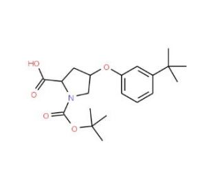 (2S,4S)-1-(tert-Butoxycarbonyl)-4-[3-(tert-butyl)-phenoxy]-2-pyrrolidinecarboxylic acid - chemical structure image