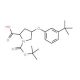 (2S,4S)-1-(tert-Butoxycarbonyl)-4-[3-(tert-butyl)-phenoxy]-2-pyrrolidinecarboxylic acid - chemical structure image