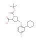 (2S,4S)-1-(tert-Butoxycarbonyl)-4-(4-chloro-2-cyclohexylphenoxy)-2-pyrrolidinecarboxylic acid - chemical structure image