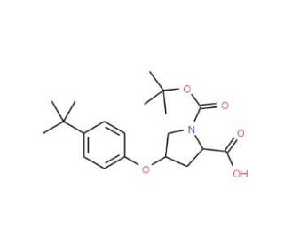 (2S,4S)-1-(tert-Butoxycarbonyl)-4-[4-(tert-butyl)-phenoxy]-2-pyrrolidinecarboxylic acid - chemical structure image