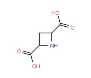 (2S,4S)-(&minus;)-Azetidine-2,4-dicarboxylic acid (CAS 161596-62-9) - chemical structure image