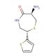 (2S,6R)-6-Amino-5-oxo-2-(2-thienyl)perhydro-1,4-thiazepine (CAS 110221-26-6) - chemical structure image