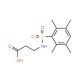 3-{[(2,3,5,6-tetramethylphenyl)sulfonyl]amino}propanoic acid (CAS 453581-60-7) - chemical structure image