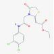 {3-[(3,4-Dichloro-phenylcarbamoyl)-methyl]-4-oxo-thiazolidin-2-ylidene}-acetic acid ethyl ester (CAS 729574-24-7) - chemical