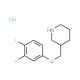 3-[(3,4-Difluorophenoxy)methyl]piperidine hydrochloride - chemical structure image