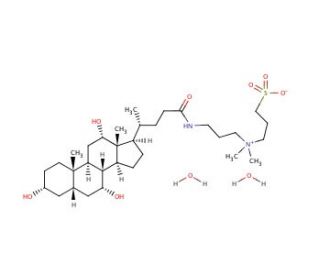 3-[(3-Cholamidopropyl)dimethylammonio]-1-propanesulfonate hydrate (CAS 313223-04-0) - chemical structure image