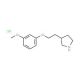 3-[(3-Methoxyphenoxy)methyl]pyrrolidinehydrochloride - chemical structure image