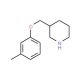 3-[(3-Methylphenoxy)methyl]piperidine (CAS 693764-34-0) - chemical structure image