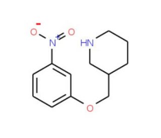 3-[(3-Nitrophenoxy)methyl]piperidine - chemical structure image