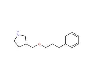 3-[(3-Phenylpropoxy)methyl]pyrrolidine - chemical structure image