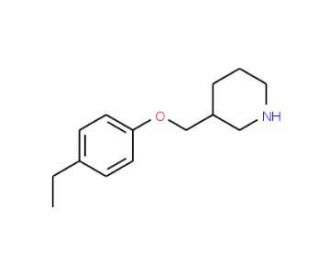 3-[(4-Ethylphenoxy)methyl]piperidine - chemical structure image