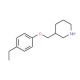 3-[(4-Ethylphenoxy)methyl]piperidine - chemical structure image