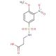 3-{[(4-methoxy-3-nitrophenyl)sulfonyl]amino}propanoic acid - chemical structure image
