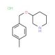 3-[(4-Methylbenzyl)oxy]piperidine hydrochloride - chemical structure image