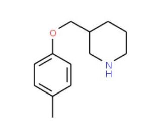 3-[(4-Methylphenoxy)methyl]piperidine (CAS 883547-94-2) - chemical structure image