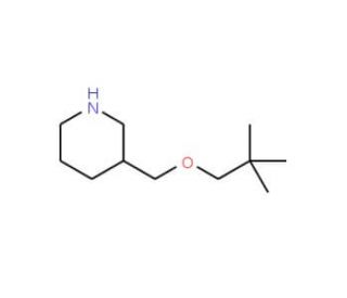 3-[(Neopentyloxy)methyl]piperidine - chemical structure image