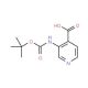 3-[(tert-Butoxycarbonyl)amino]isonicotinic acid (CAS 179024-65-8) - chemical structure image