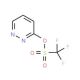 3-[(Trifluoromethyl)sulphonyloxy]pyridazine - chemical structure image