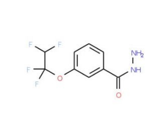 3-(1,1,2,2-Tetrafluoroethoxy)benzohydrazide - chemical structure image