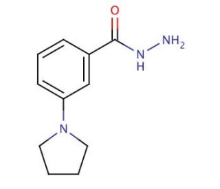 3-(1-Pyrrolidinyl)benzoic Acid Hydrazide - chemical structure image