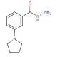3-(1-Pyrrolidinyl)benzoic Acid Hydrazide - chemical structure image