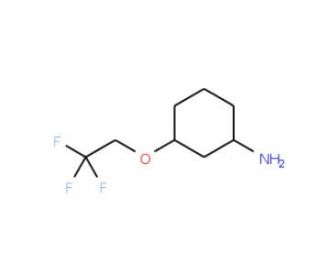 3-(2,2,2-trifluoroethoxy)cyclohexanamine - chemical structure image