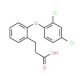 3-[2-(2,4-Dichlorophenoxy)phenyl]propanoic acid - chemical structure image