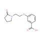 3-[2-(2-Oxo-pyrrolidin-1-yl)-ethoxy]-benzoic acid - chemical structure image