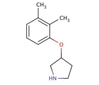3-(2,3-Dimethylphenoxy)pyrrolidine - chemical structure image
