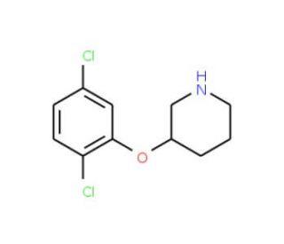 3-(2,5-Dichlorophenoxy)piperidine (CAS 946759-06-4) - chemical structure image