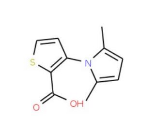 3-(2,5-dimethyl-1H-pyrrol-1-yl)thiophene-2-carboxylic acid (CAS 477888-48-5) - chemical structure image