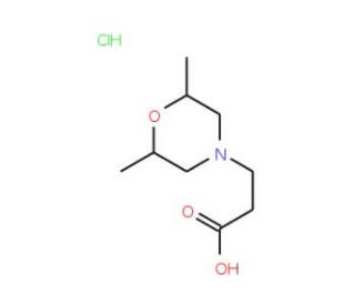 3-(2,6-dimethylmorpholin-4-yl)propanoic acid hydrochloride - chemical structure image