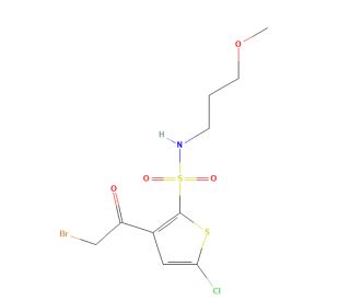 3-(2-Bromoacetyl)-5-chloro-N-(3-methoxypropyl)-2-thiophenesulfonamide (CAS 1174304-97-2) - chemical structure image