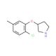 3-(2-Chloro-5-methylphenoxy)pyrrolidine - chemical structure image
