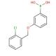 3-(2-Chlorobenzyloxy)phenylboronic acid (CAS 845551-45-3) - chemical structure image