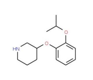 3-(2-Isopropoxyphenoxy)piperidine (CAS 902837-37-0) - chemical structure image