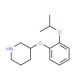 3-(2-Isopropoxyphenoxy)piperidine (CAS 902837-37-0) - chemical structure image