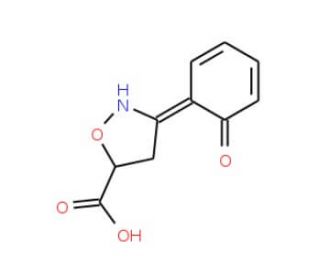 3-(2-Isopropyl-5-methylphenoxy)pyrrolidinehydrochloride - chemical structure image