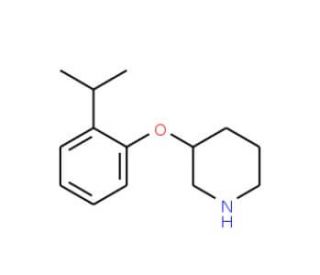 3-(2-Isopropylphenoxy)piperidine (CAS 902837-35-8) - chemical structure image