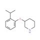 3-(2-Isopropylphenoxy)piperidine (CAS 902837-35-8) - chemical structure image