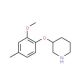 3-(2-Methoxy-4-methylphenoxy)piperidine - chemical structure image