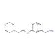{3-[2-(Morpholin-4-yl)ethoxy]phenyl}methylamine (CAS 857284-08-3) - chemical structure image
